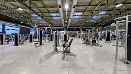 AF1QipNoYEyDRpK16CqaRXjM9Mhn1KbhhUsUeduqxlvlw426 h240 k no